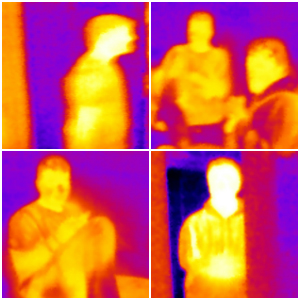 Human Recognition in Infrared Images